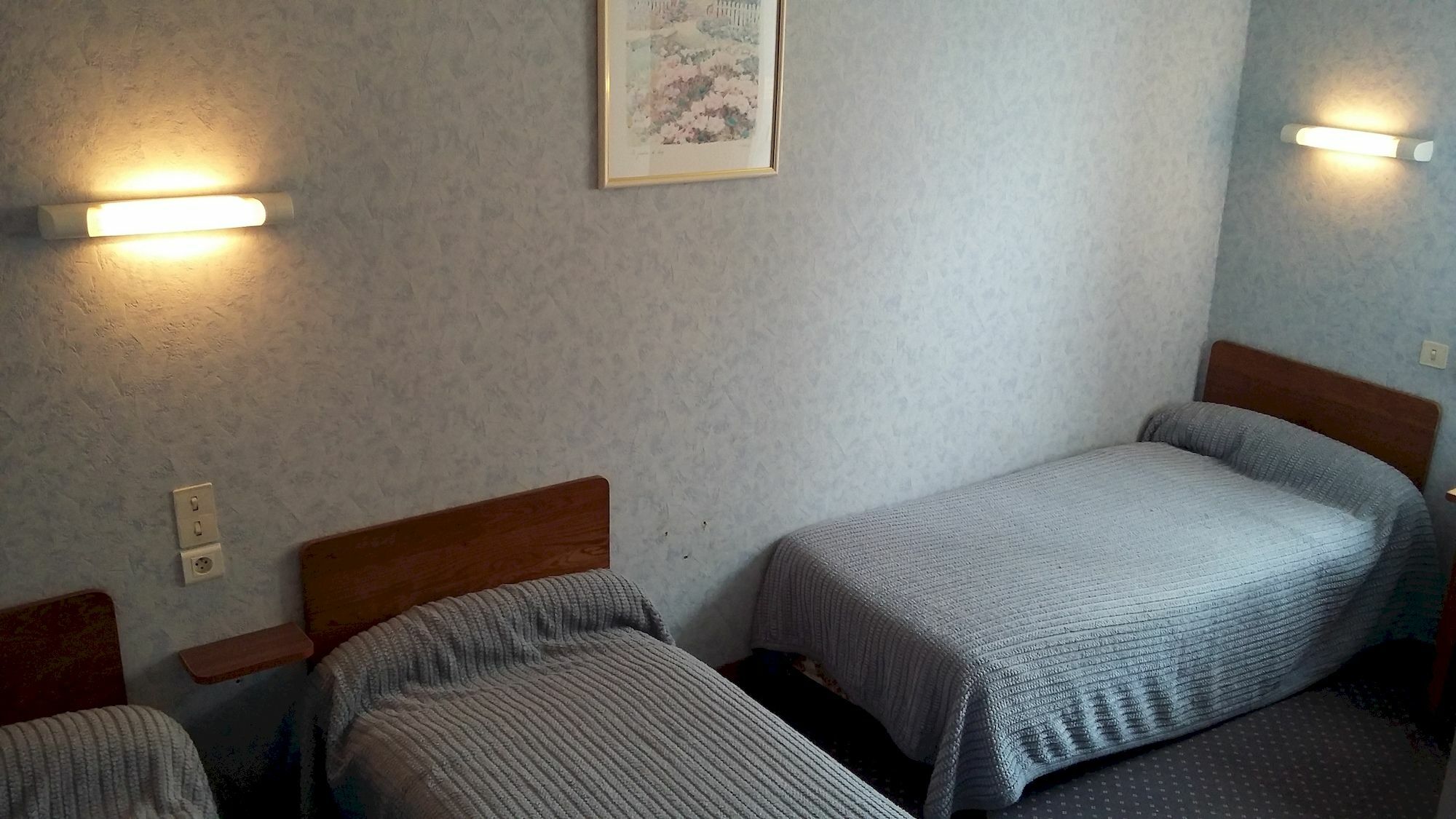Hotel Du Viscos Lourdes Dış mekan fotoğraf